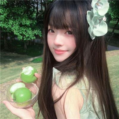 模范警察