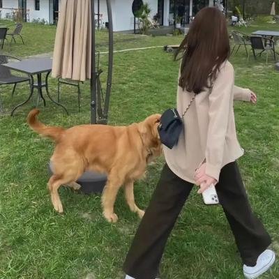 宝贝小情人